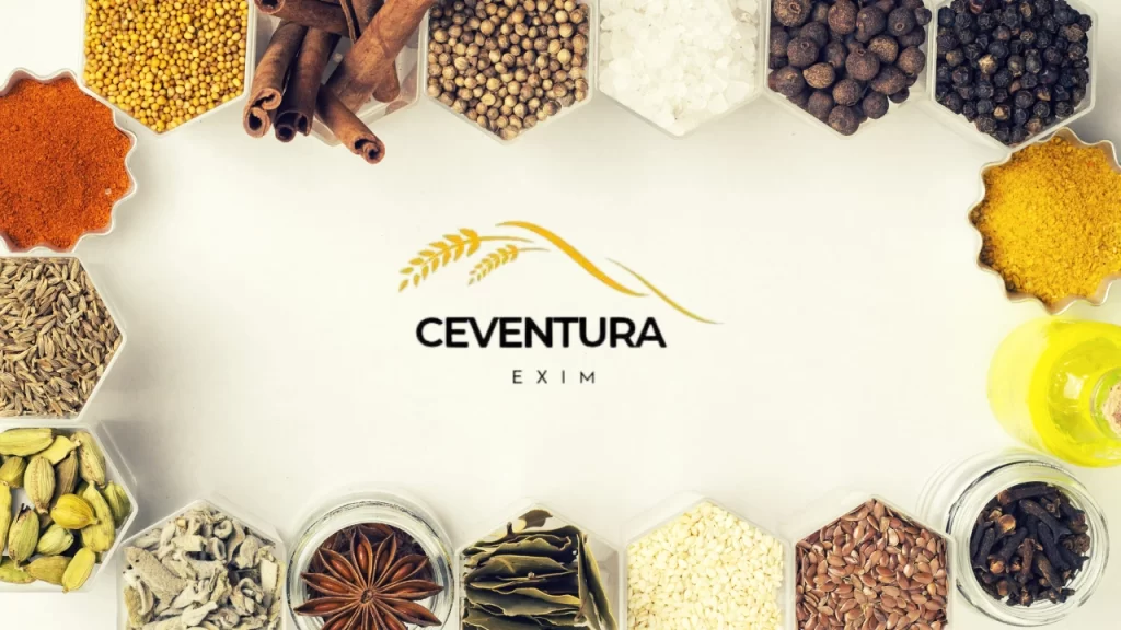 Building Strong Partnerships: The Ceventura Exim Approach to Business Growth